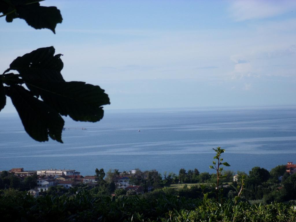 Bed And Breakfast " Il Tesoro Di Mario " Falconara Marittima Bagian luar foto