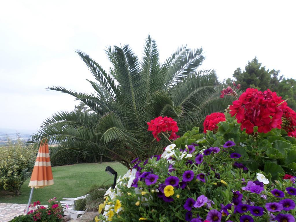 Bed And Breakfast " Il Tesoro Di Mario " Falconara Marittima Bagian luar foto