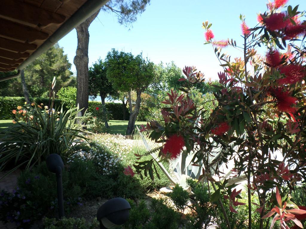 Bed And Breakfast " Il Tesoro Di Mario " Falconara Marittima Bagian luar foto